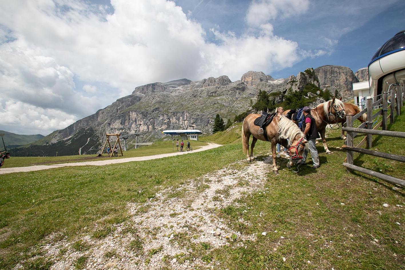 Hotel Alpenrose Arabba Dış mekan fotoğraf